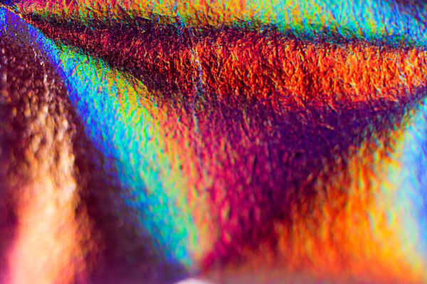 Macro Photograph by Roger Smith 2008