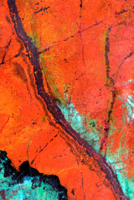 Macro Photograph by Roger Smith 2008