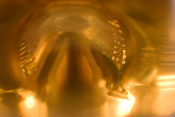 Macro Photograph © Roger Smith 2010