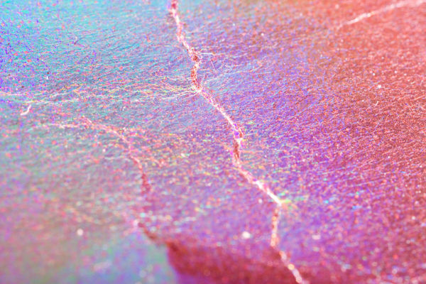Macro Photograph by Roger Smith 2008