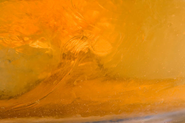 Macro Photograph by Roger Smith 2008