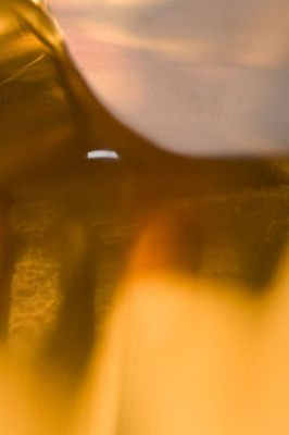 Macro Photograph by Roger Smith 2008
