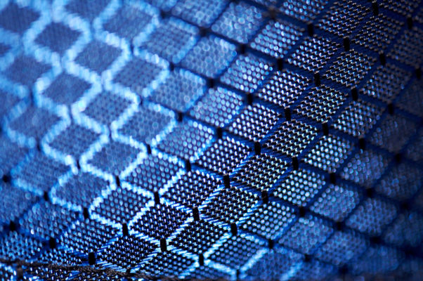 Macro Photograph by Roger Smith 2008