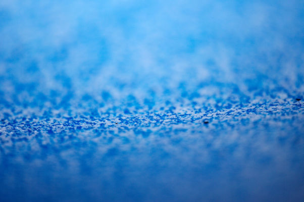 Macro Photograph by Roger Smith 2008